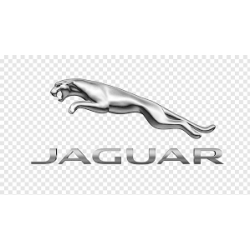 Jaguar (0)